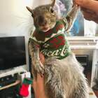 "К бабушкам тоже приходят белочки"