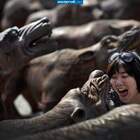 "Нашла общий язык!"