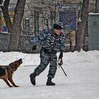 "Ахтунг собакирен! За яйцен клац, клац!"