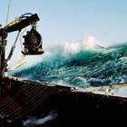 "Шэф! Усё пропала!!"