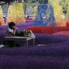 "Давно известно - креатив до добра не доведет..."