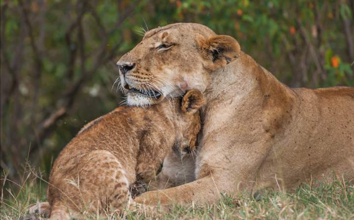 Опять двойка