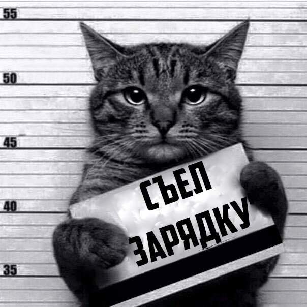 Прошу понять и простить