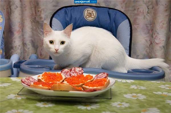 мираж