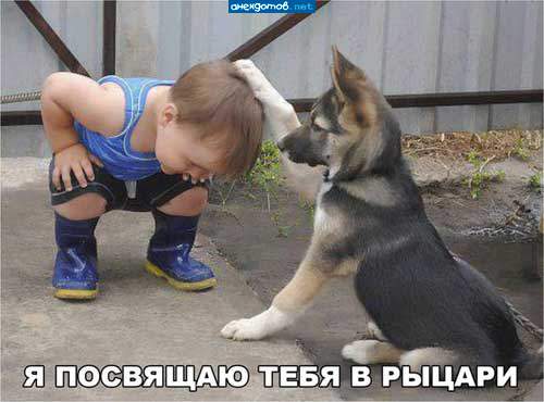 - Клянусь защищать тебя и служить тебе до последнего вздоха!