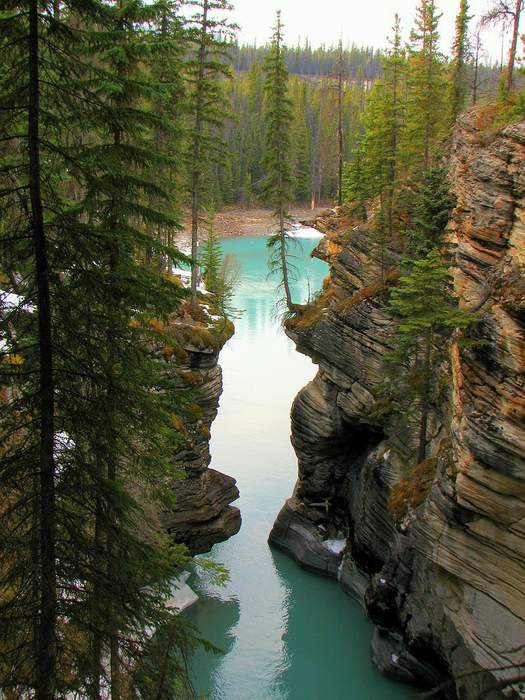 Девственность - это прекрасно!!!!!!!!