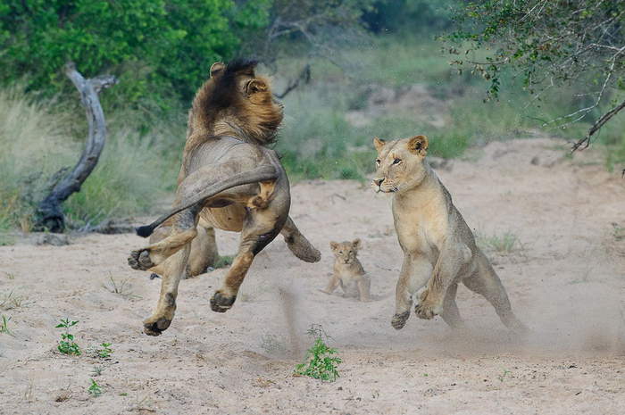Еще раз ребенка шлепнешь, оторву яйца!