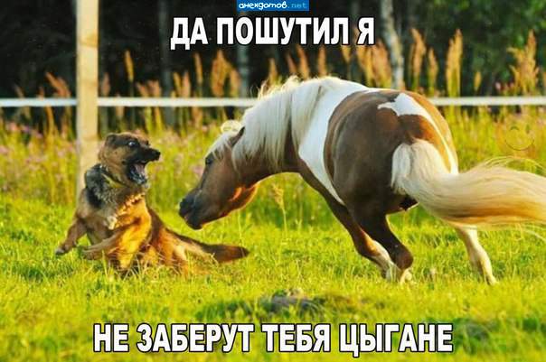 Любимая фотка нашего админа.