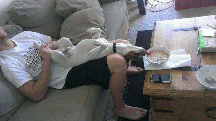 Молоток Шарик!!! хочешь жить вкусно, умей вертеться!!!