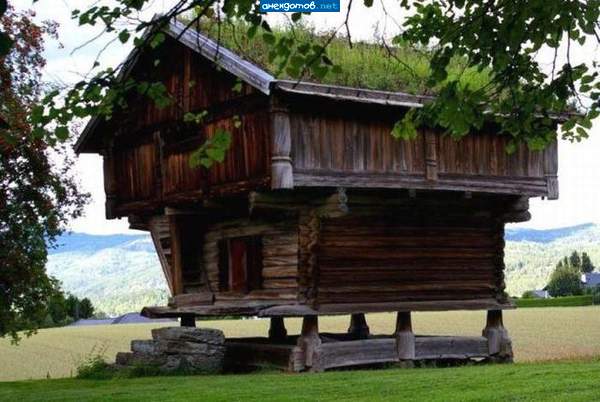 хижина дяди тома