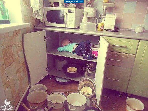 В поисках экологической ниши