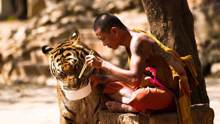 за папу...за маму...