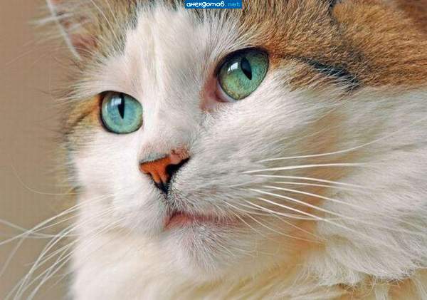 Иногда мне кажется, что я рождена для другого...