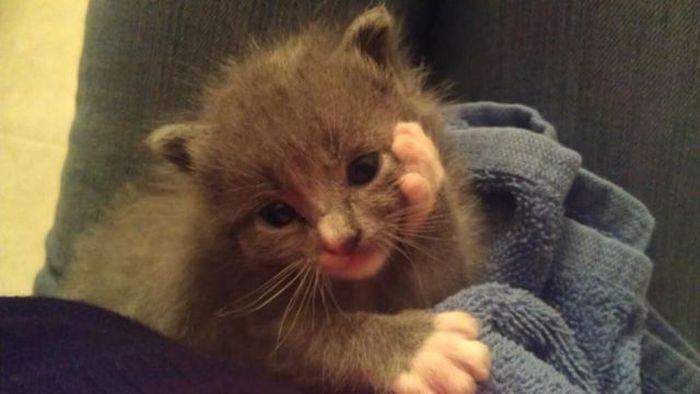 Боже, куда я попал?!?!