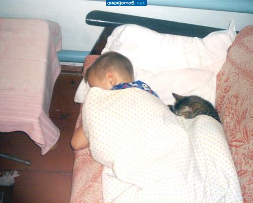 Спяят устааалые....