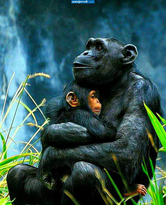 Ìàìà âñåãäà ìàìà.