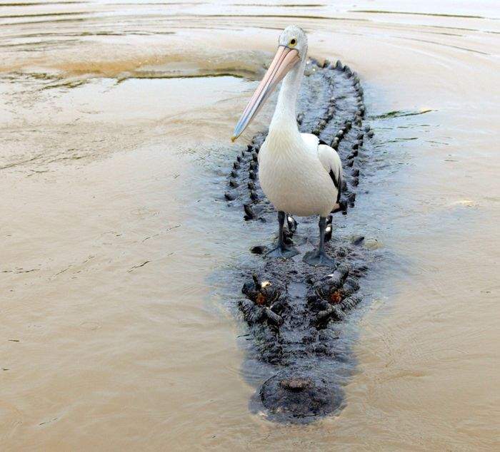 Показывай, кто тебя обидел!