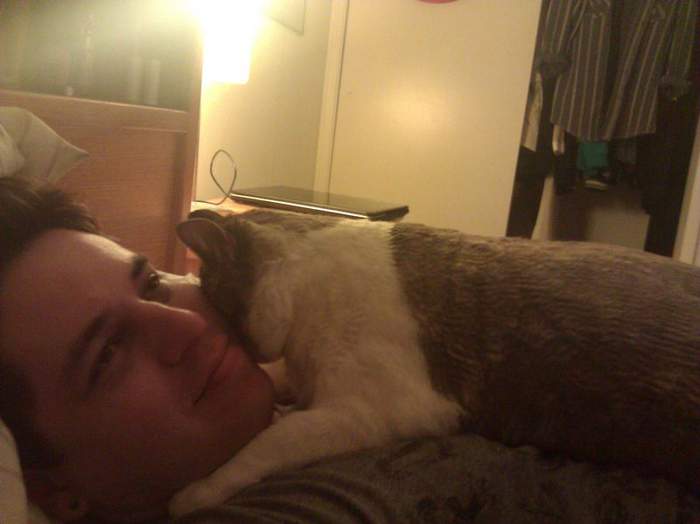 Наконец-то побрился...мур.....