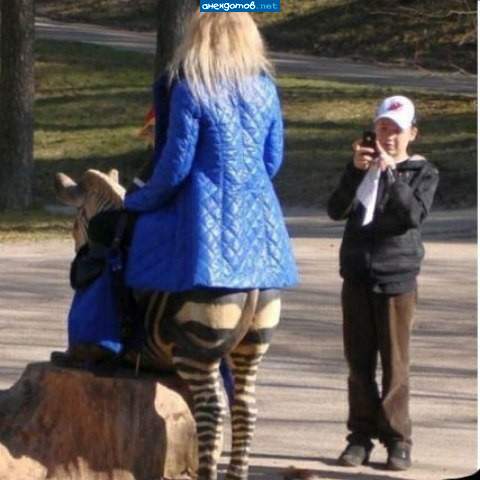 Девушка, где вы купили эти полосатые кривые колготки?