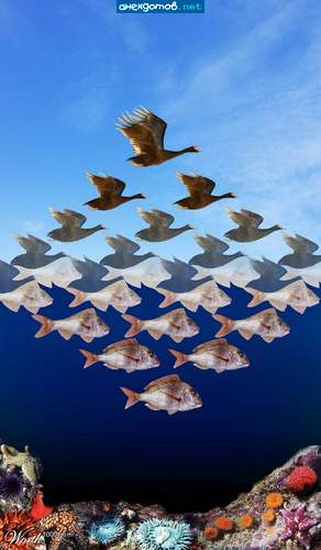 Отпусти меня чудо-трава.