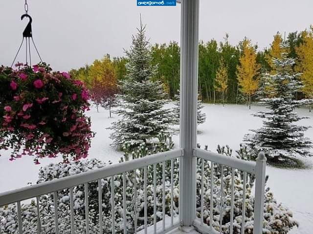 Лето у нас короткое, зато малоснежное.
