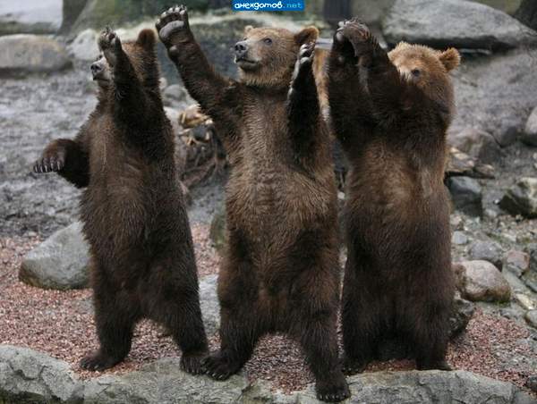 Счастливого пути, Машка! И скорей возвращайся обратно!!