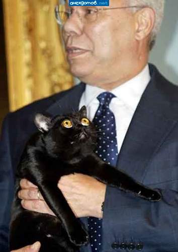 Яйца отпусти, придурок!