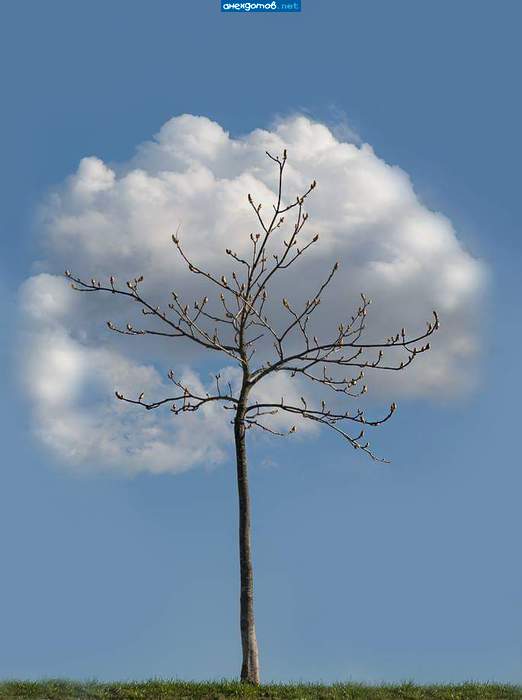 Для отчёта сойдёт.