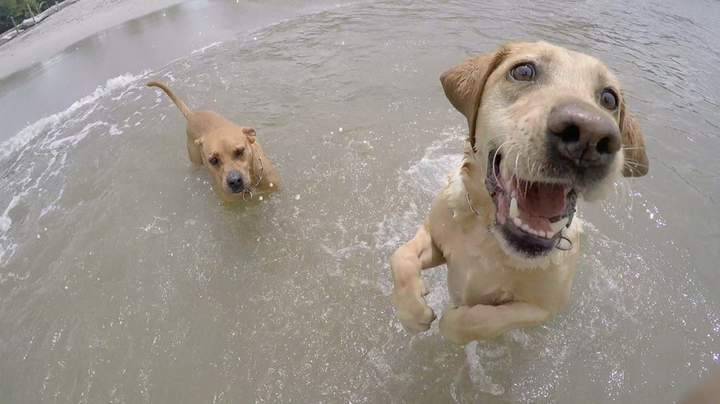 Мочалка есть?