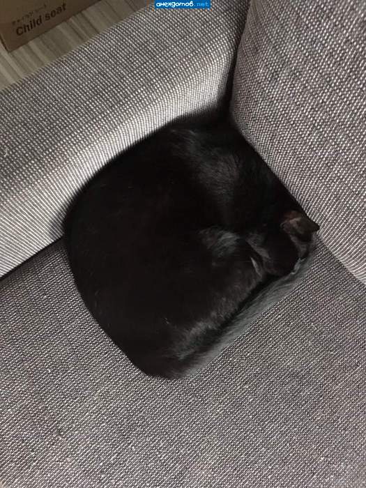 Чёрный квадрат Котевича