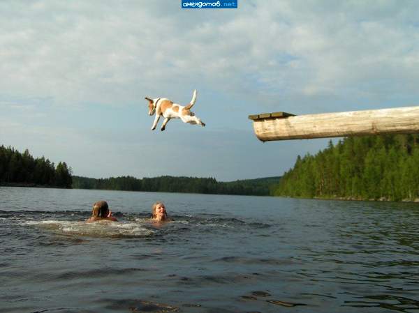 Поберегись!!!!