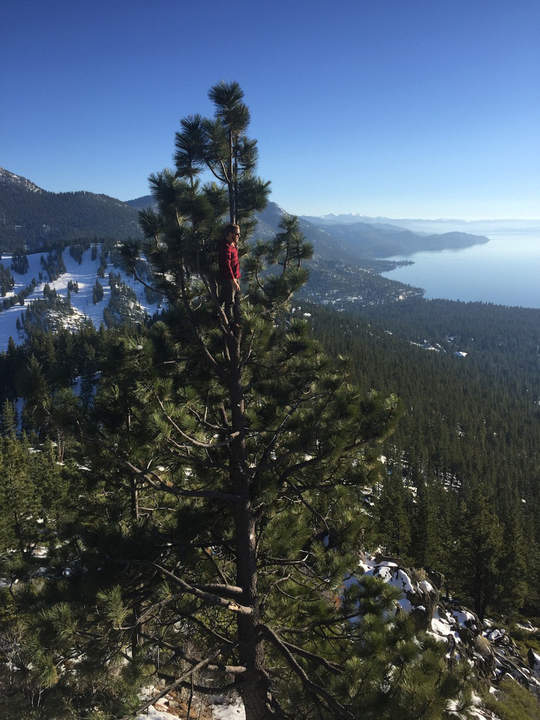 А на чём сидит фотограф?