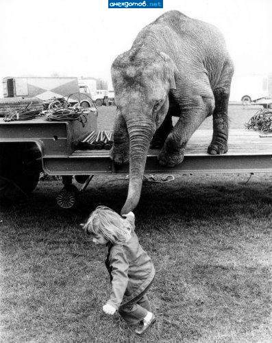 Пошли с мамой познакомлю!