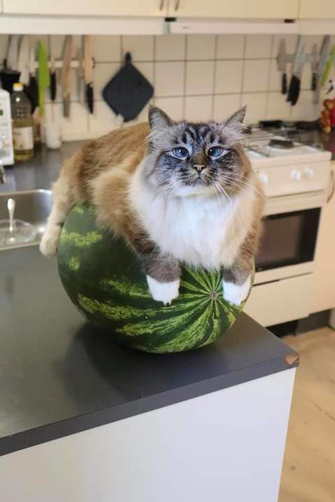 Отличное место охладиться жарким летним днем !