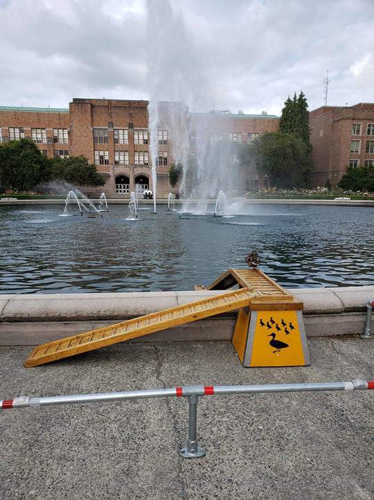 Об утках заботятся... О людях наверное тоже