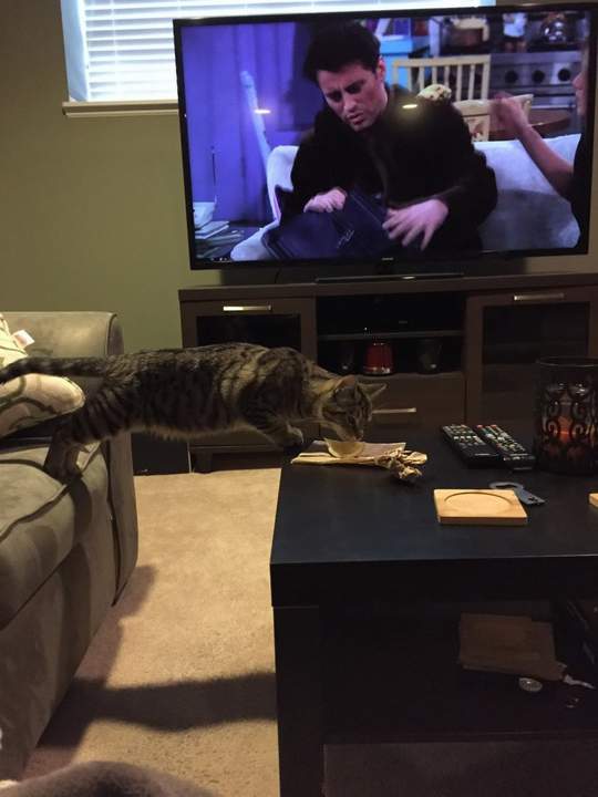 Есть захочешь и не так раскорячишься