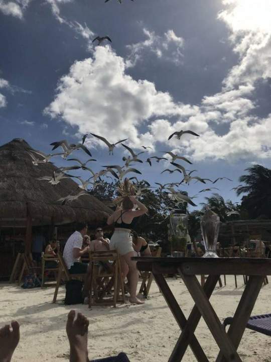 Гуси лебеди за за девочкой Почему братца спаиваешь?