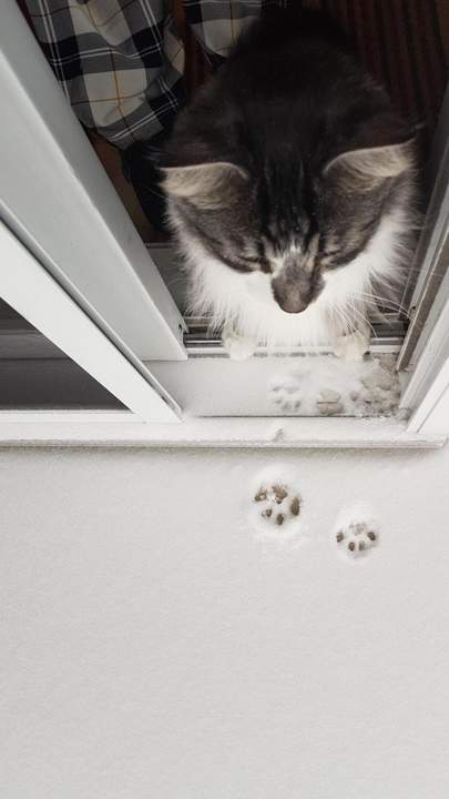 Уже погулял