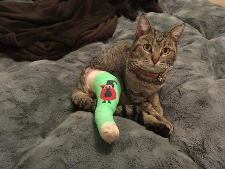 Ты чо мне нарисовал? Я как во двор выйду?